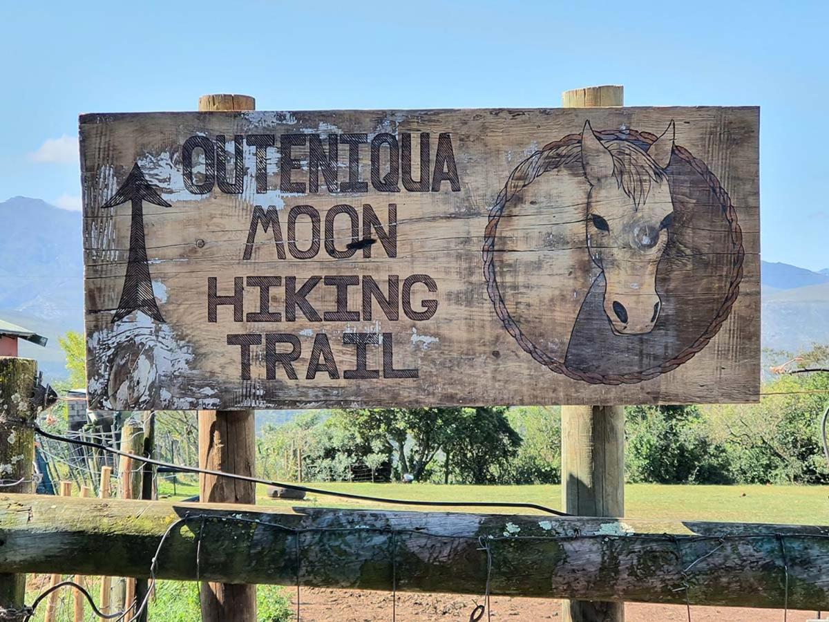 Outeniqua Moon Percheron Stud Farm Ruiterbos Εξωτερικό φωτογραφία