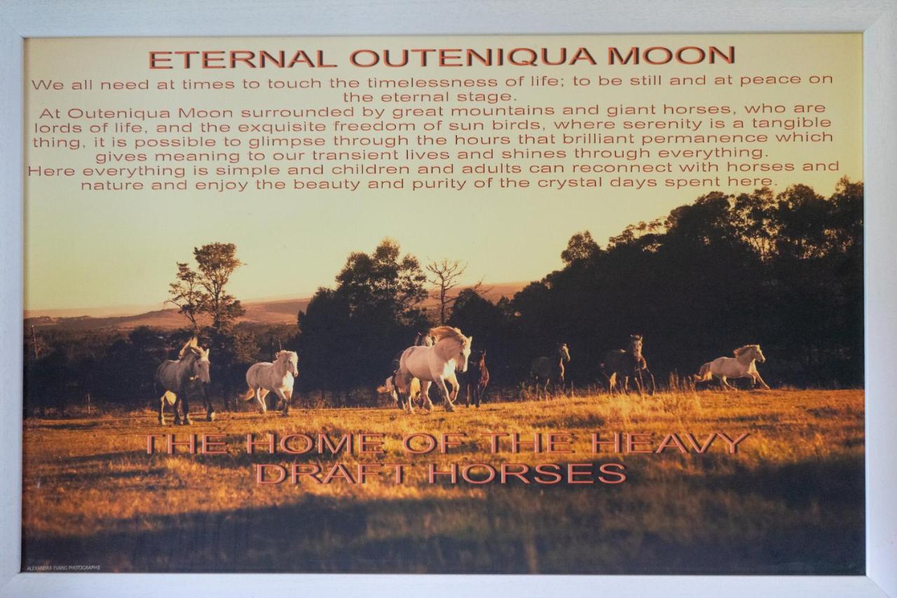 Outeniqua Moon Percheron Stud Farm Ruiterbos Εξωτερικό φωτογραφία
