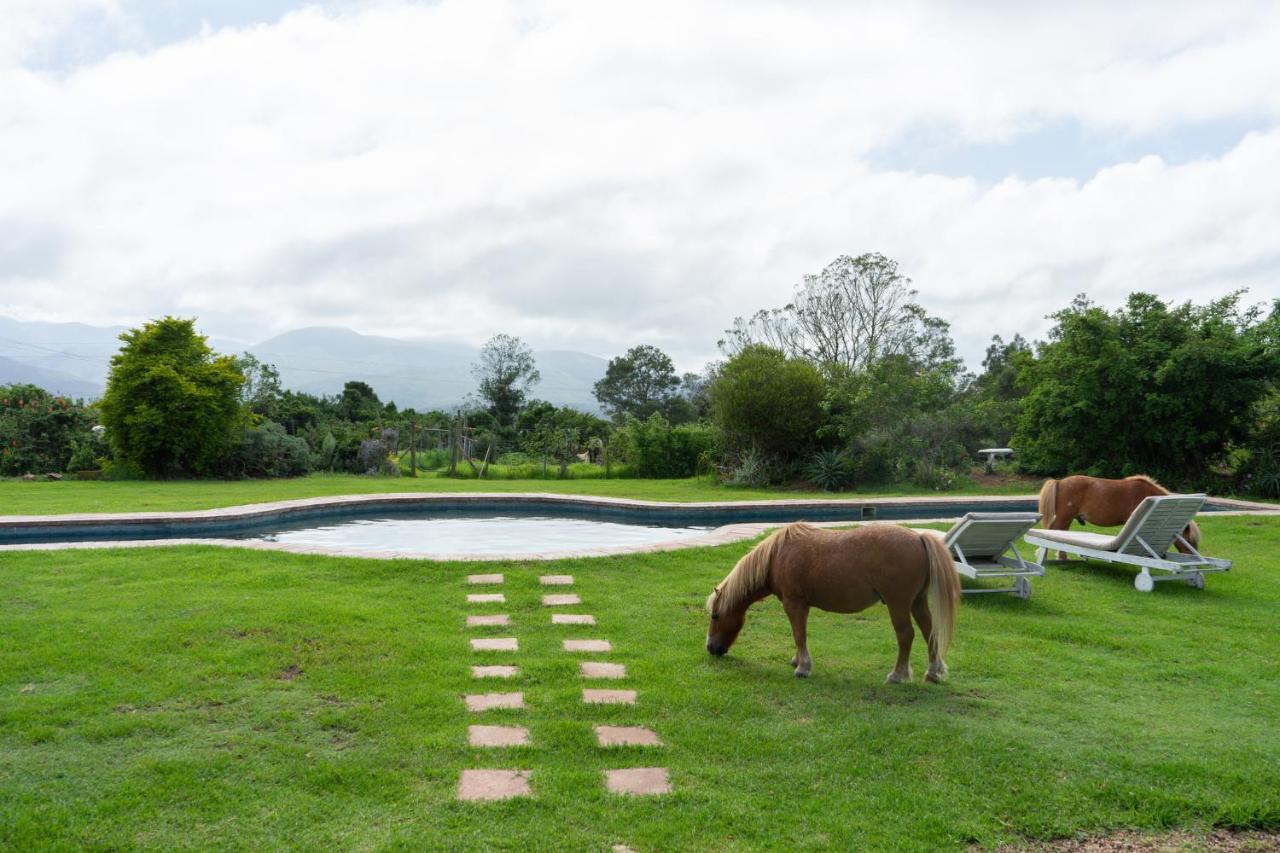 Outeniqua Moon Percheron Stud Farm Ruiterbos Εξωτερικό φωτογραφία